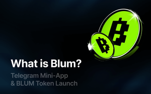 What is Blum?