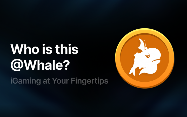 iGaming at Your Fingertips: Who is This Whale?