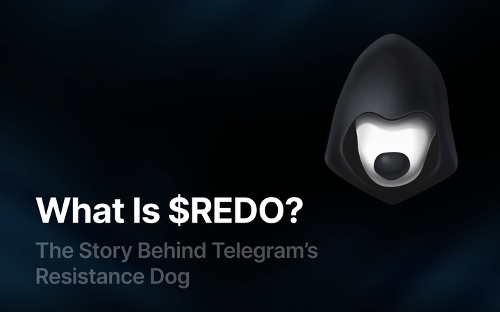 What is $REDO