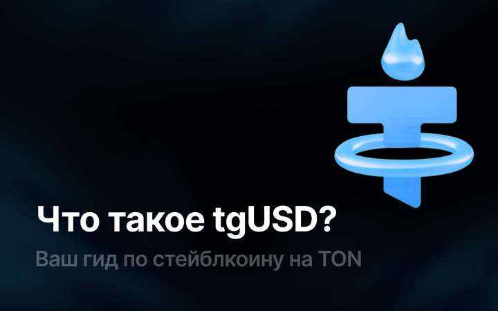Что такое tgUSD?